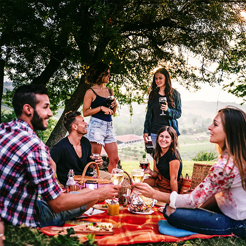 Drinkmate Getränkesprudler: Beitragsbild für Artikel Wein sprudeln